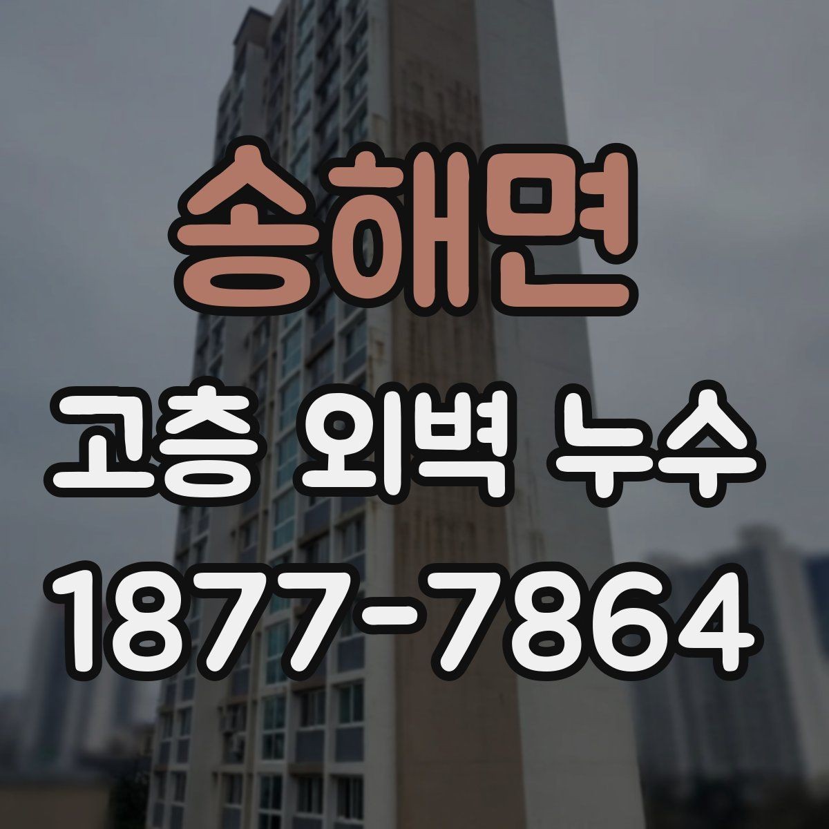 송해면 고층 외벽 누수 점검 시 사진 자료를 활용하는 법