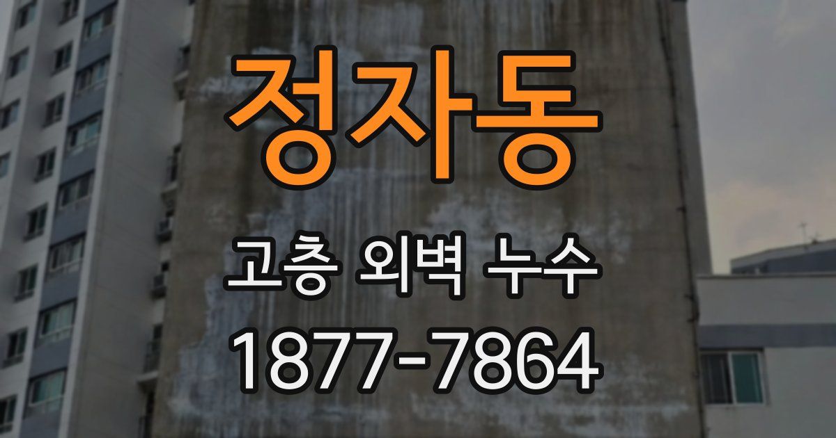 정자동 고층 외벽 누수