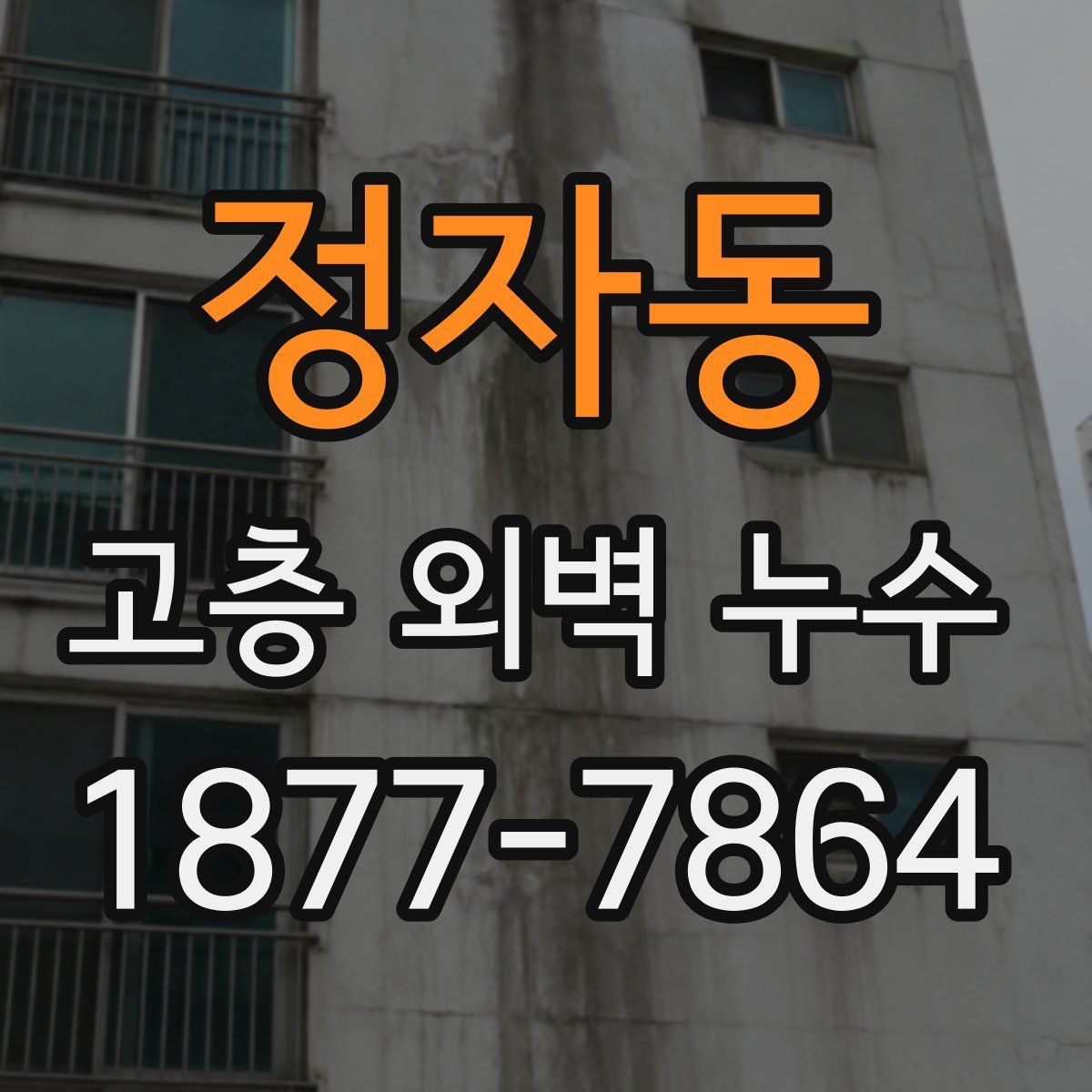 정자동 고층 외벽 누수