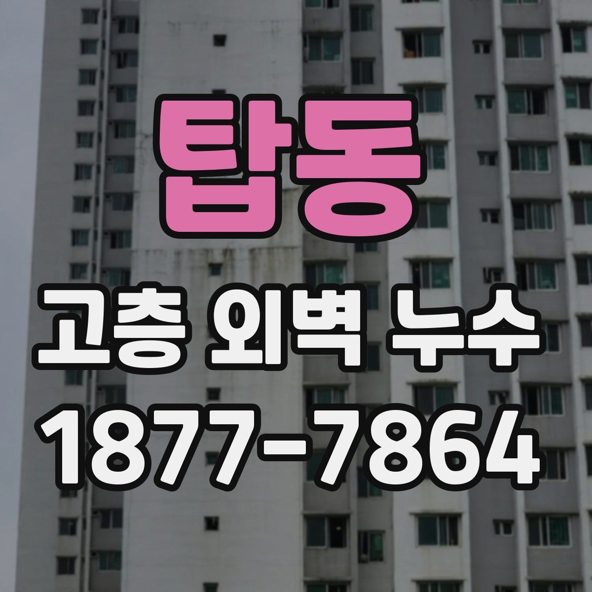 탑동 고층 외벽 누수