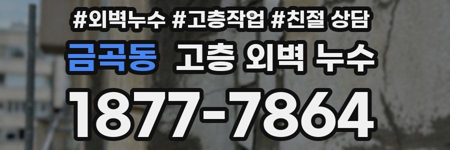 금곡동 고층 외벽 누수
