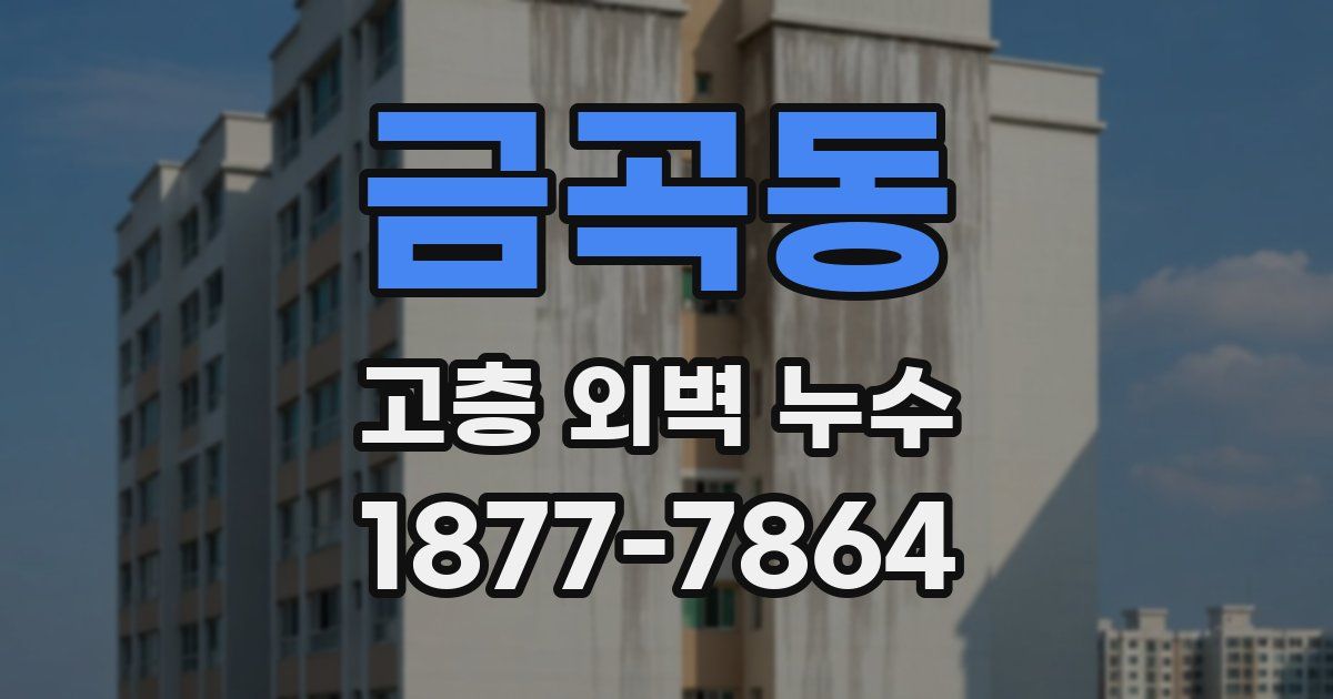 금곡동 고층 외벽 누수