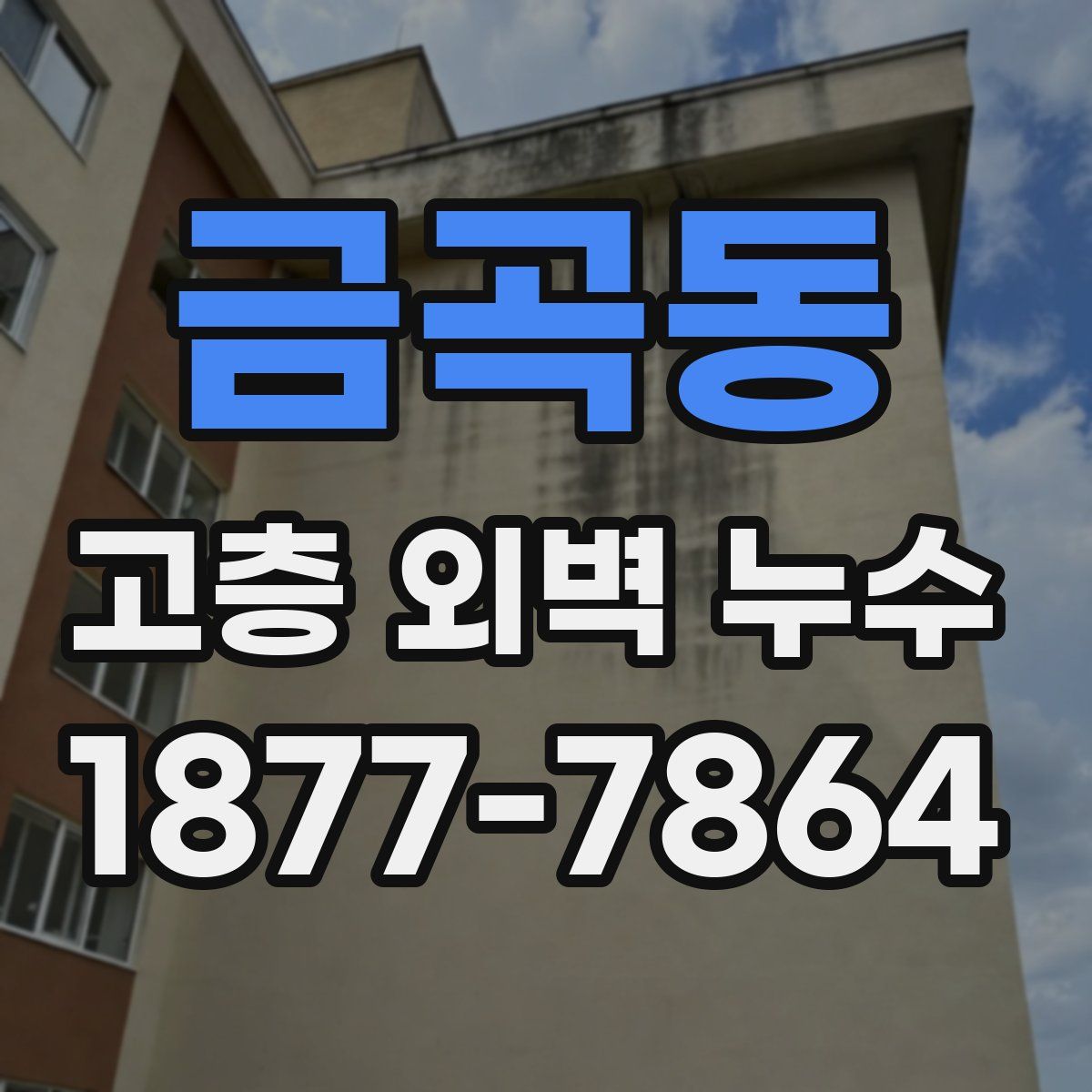 금곡동 고층 외벽 누수