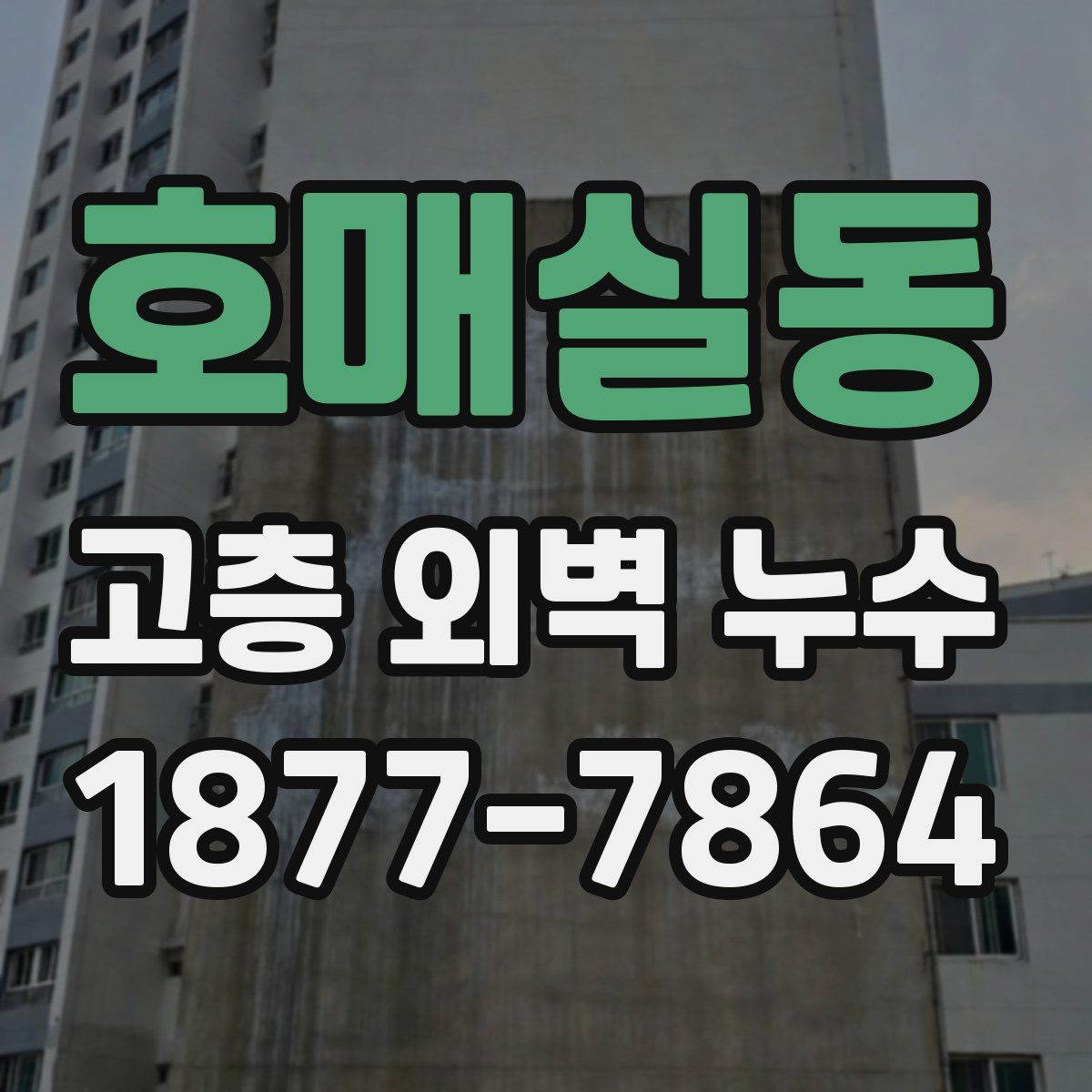 호매실동 고층 외벽 누수