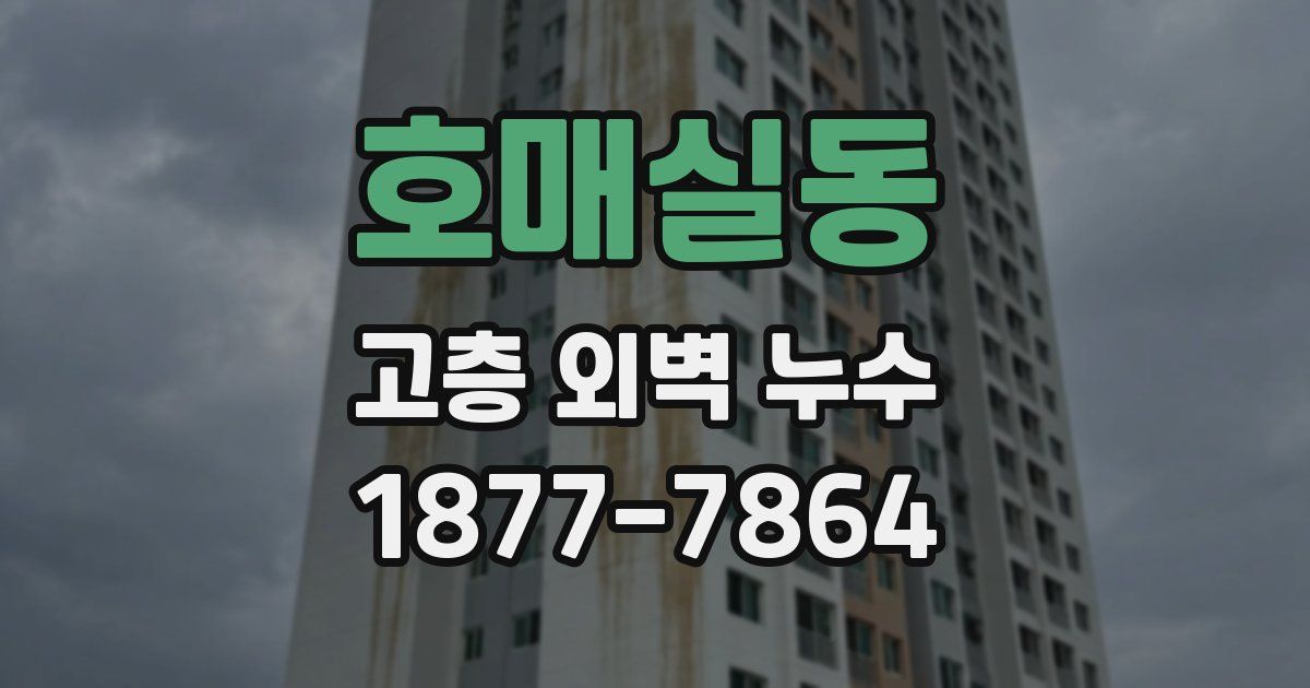호매실동 고층 외벽 누수