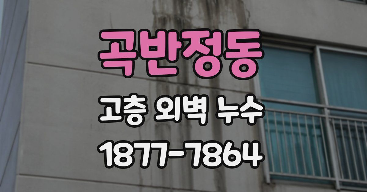 곡반정동 고층 외벽 누수