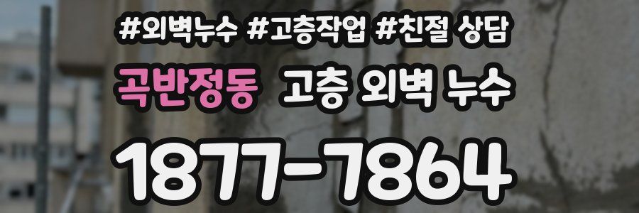 곡반정동 고층 외벽 누수