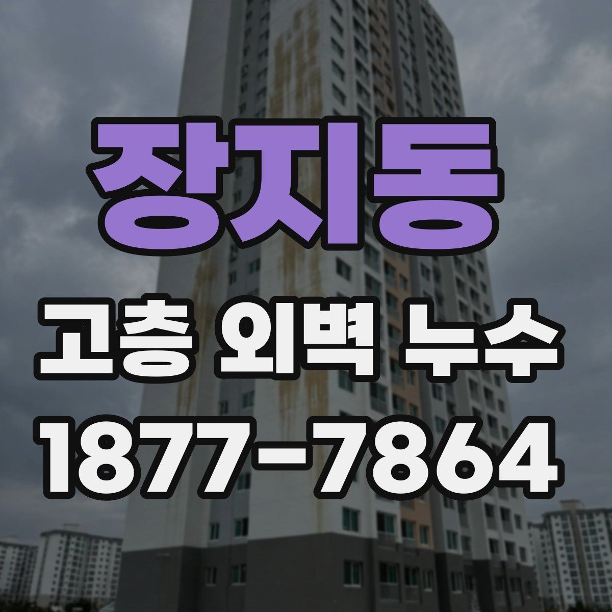 장지동 고층 외벽 누수 보수 전 비용 산정 방식 살펴보기