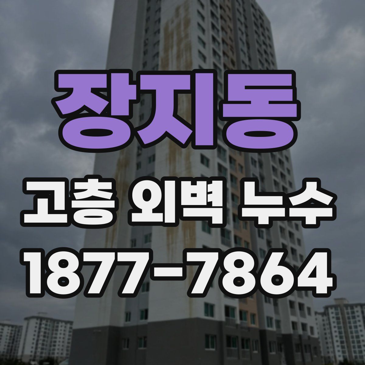 장지동 고층 외벽 누수