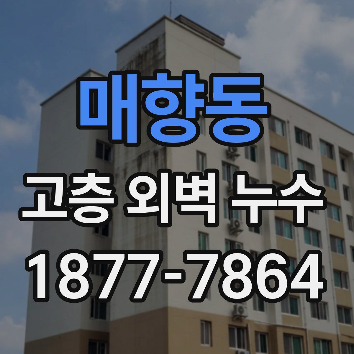 매향동 고층 외벽 누수