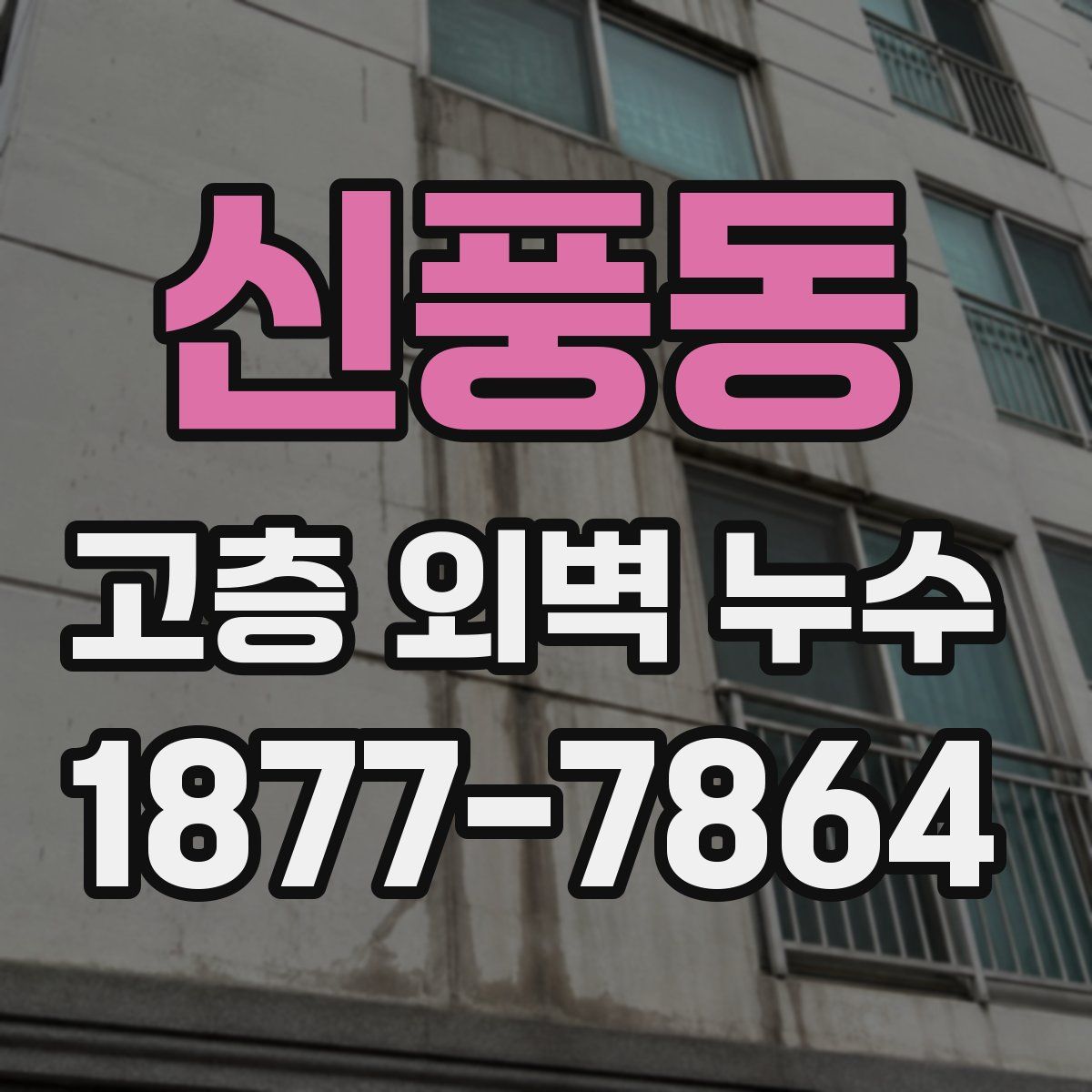 신풍동 고층 외벽 누수