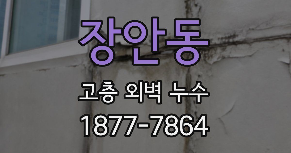장안동 고층 외벽 누수