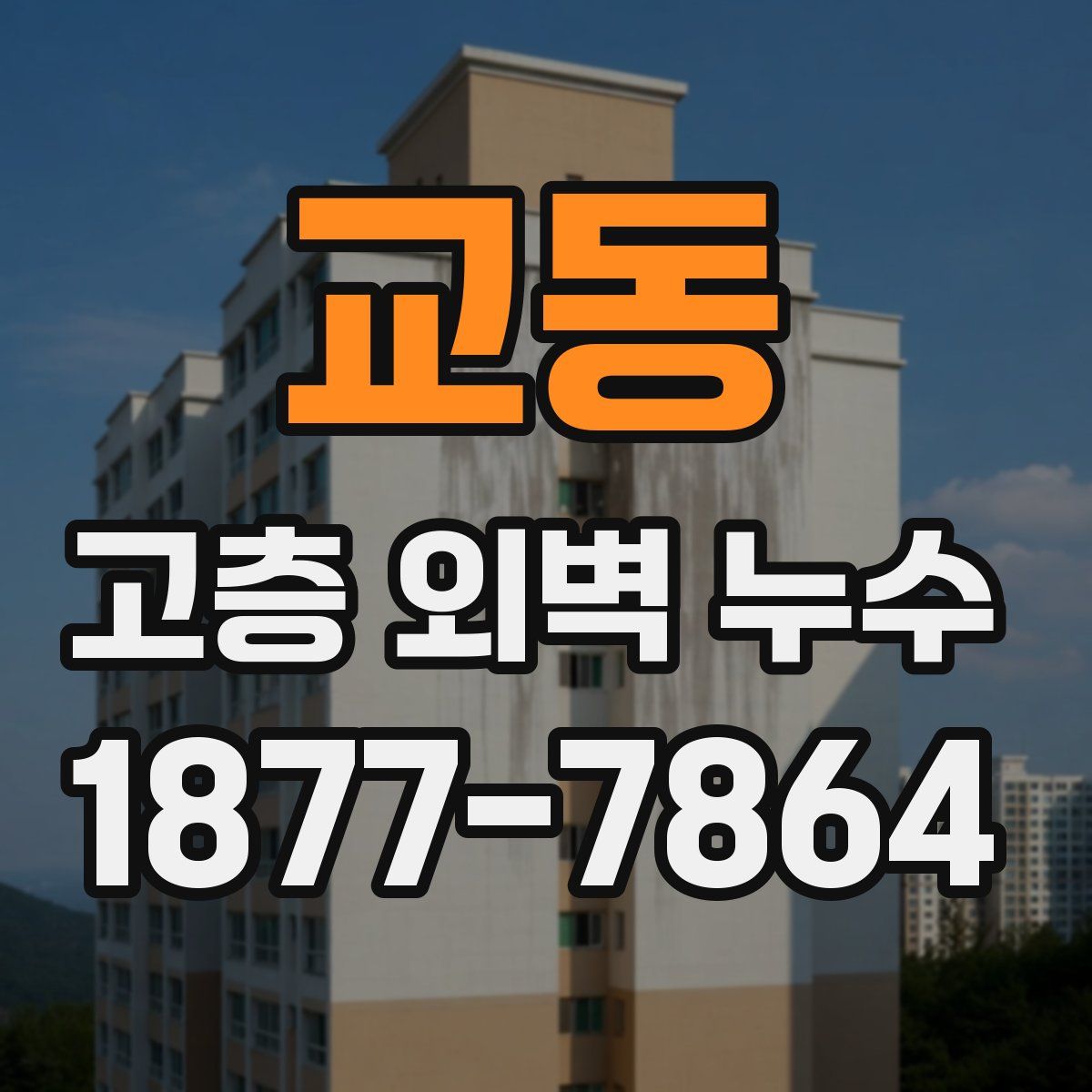 교동 고층 외벽 누수