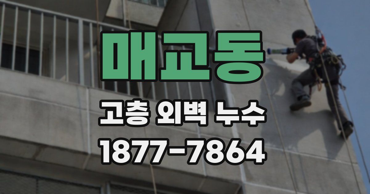 매교동 고층 외벽 누수