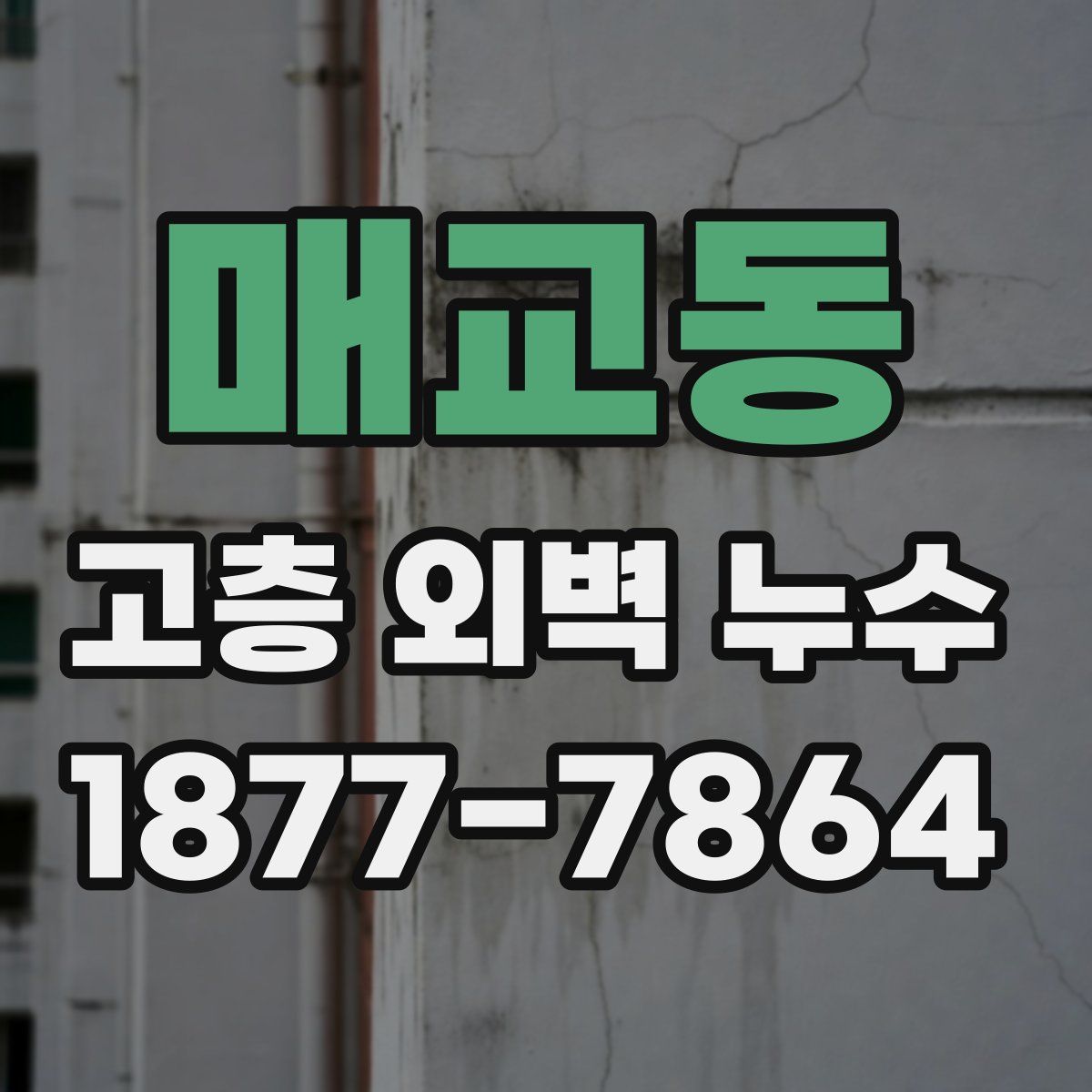 매교동 고층 외벽 누수