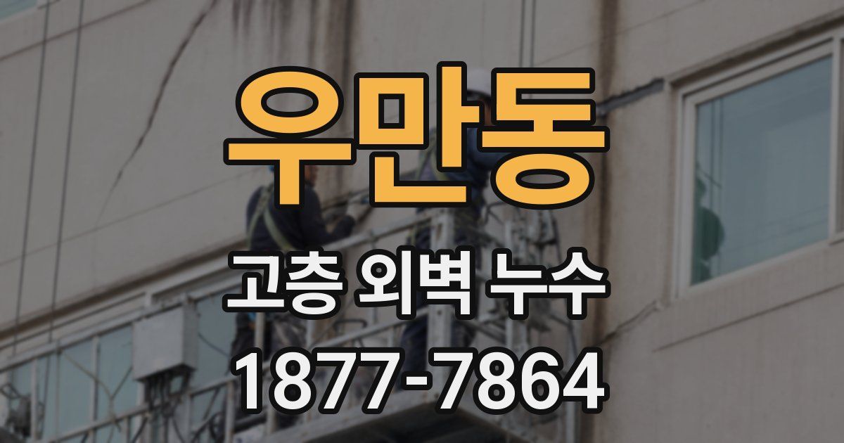 우만동 고층 외벽 누수