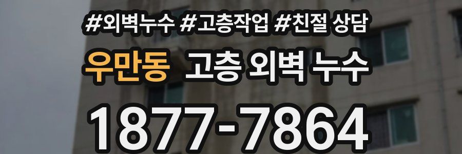 우만동 고층 외벽 누수