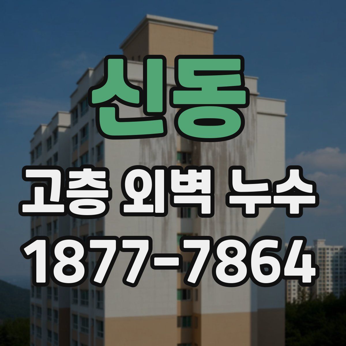 신동 고층 외벽 누수