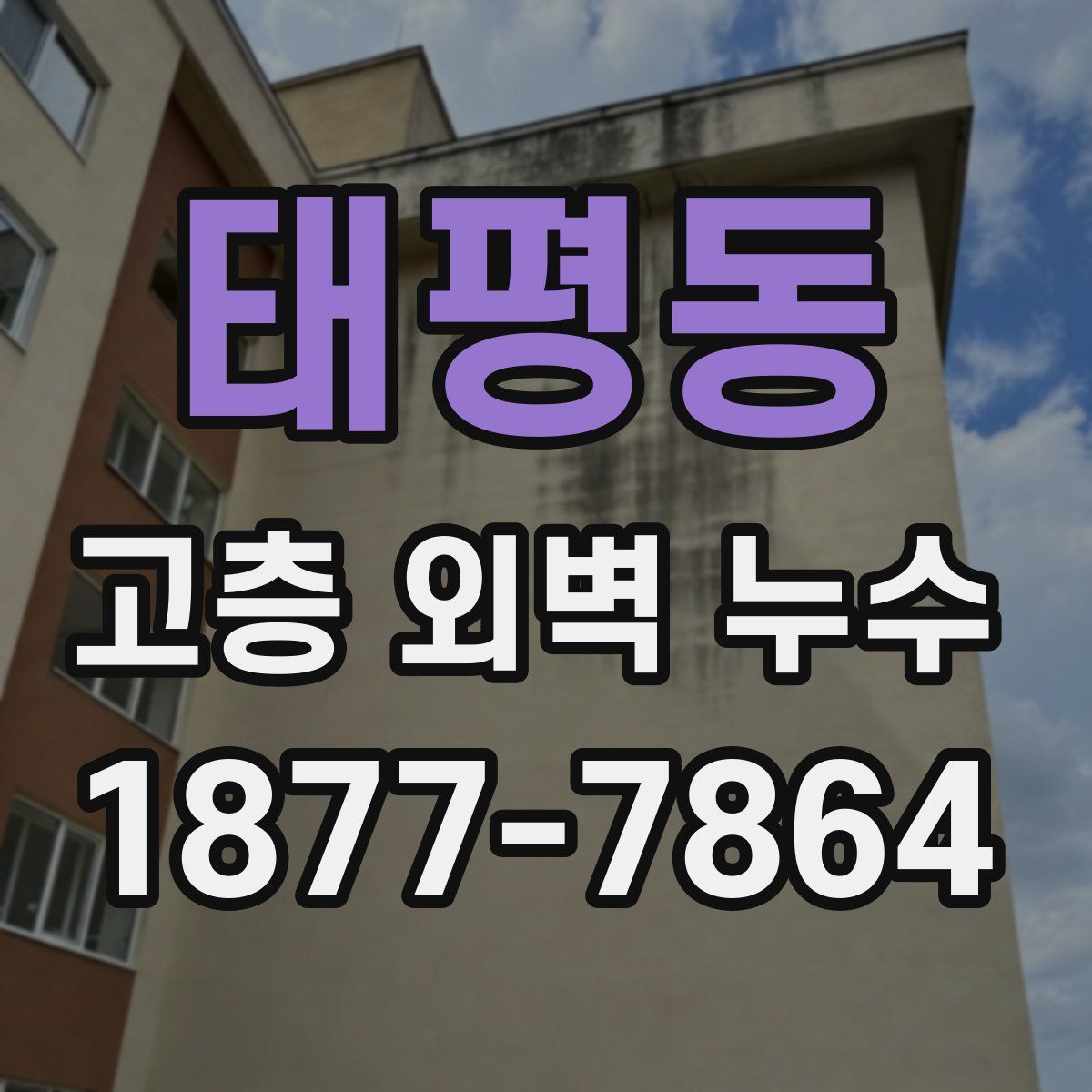 태평동 고층 외벽 누수