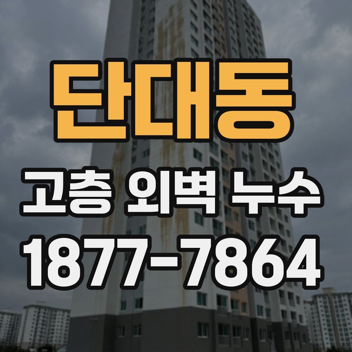 단대동 고층 외벽 누수 발생 시 건물 전체 점검이 필요한 이유