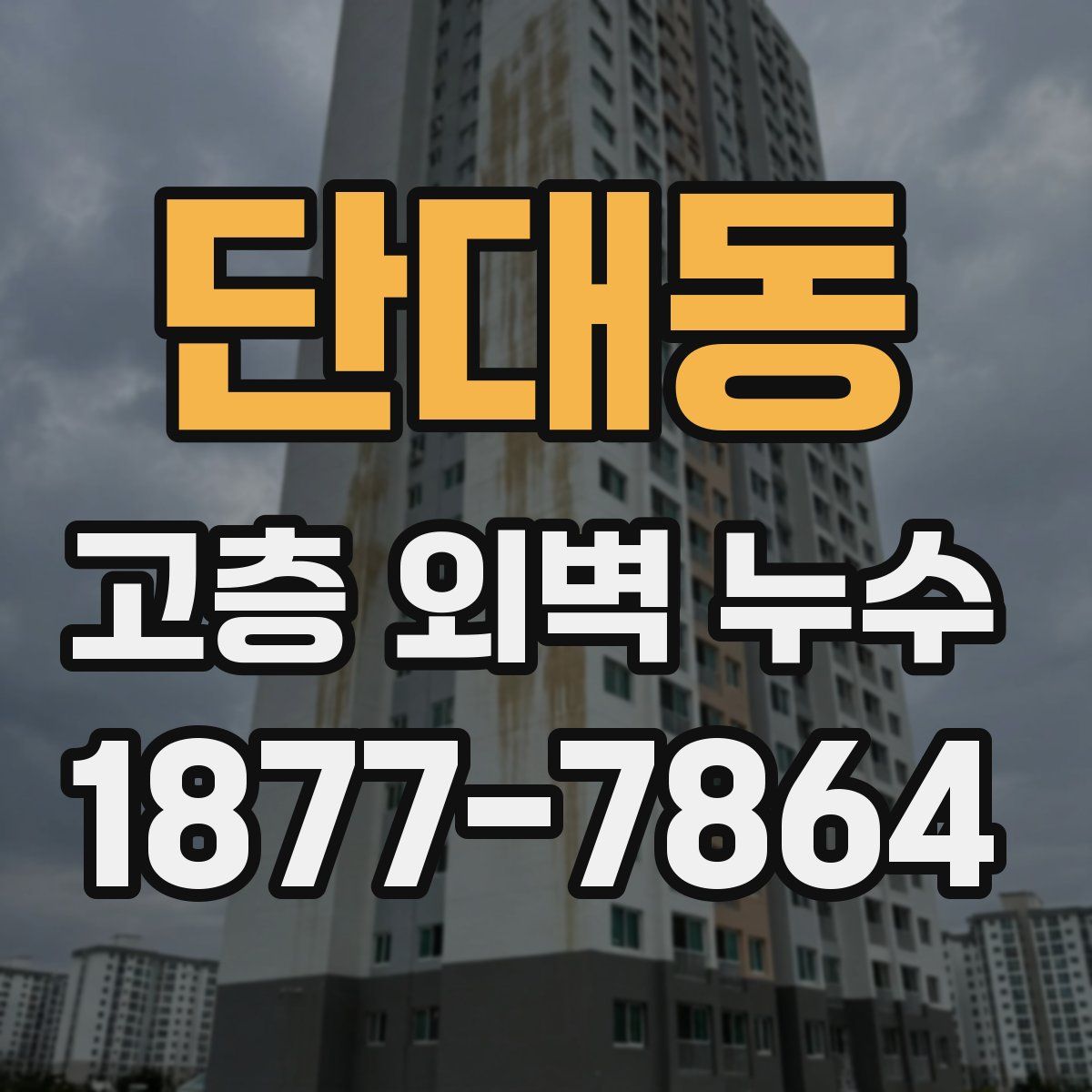 단대동 고층 외벽 누수