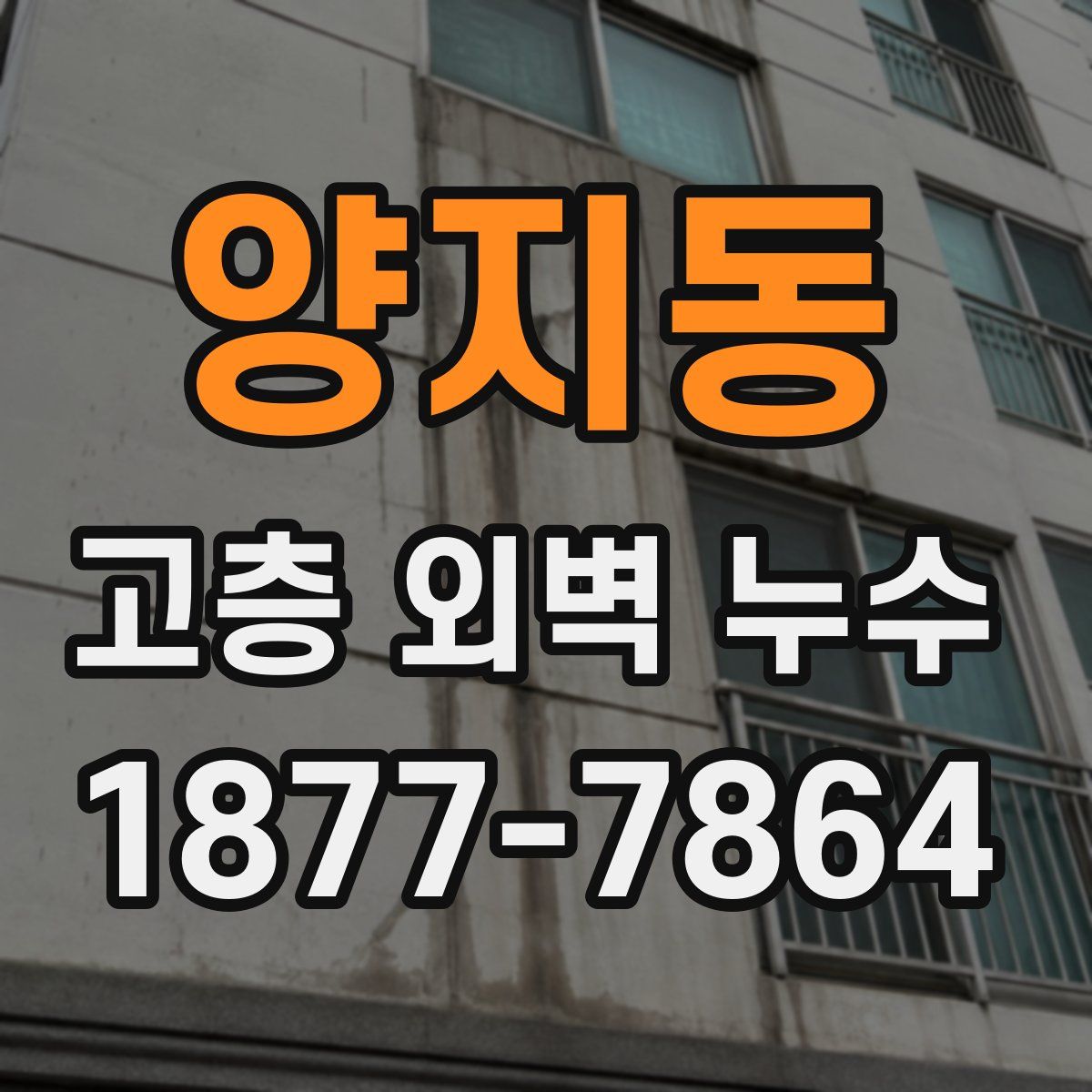 양지동 고층 외벽 누수