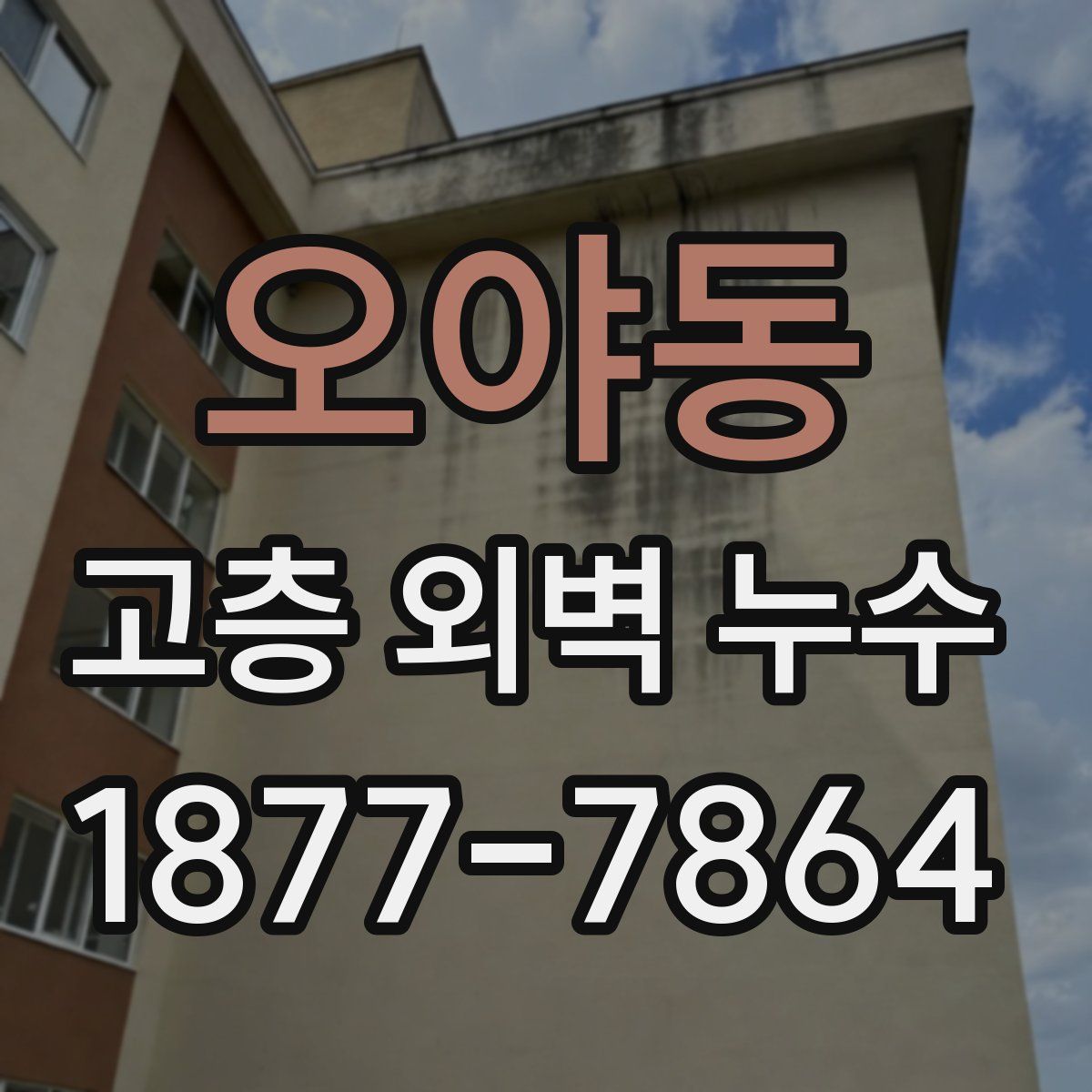 오야동 고층 외벽 누수