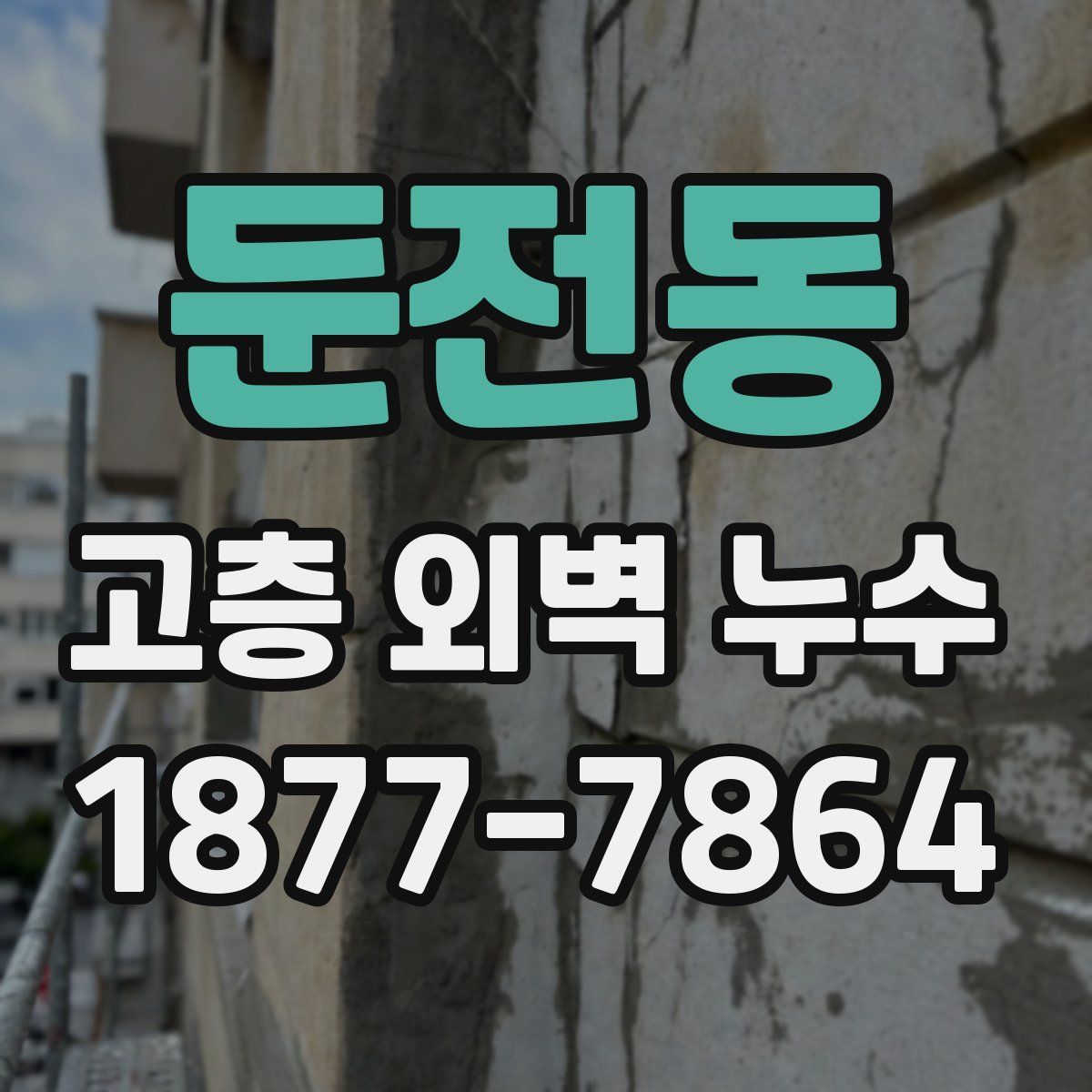 둔전동 고층 외벽 누수