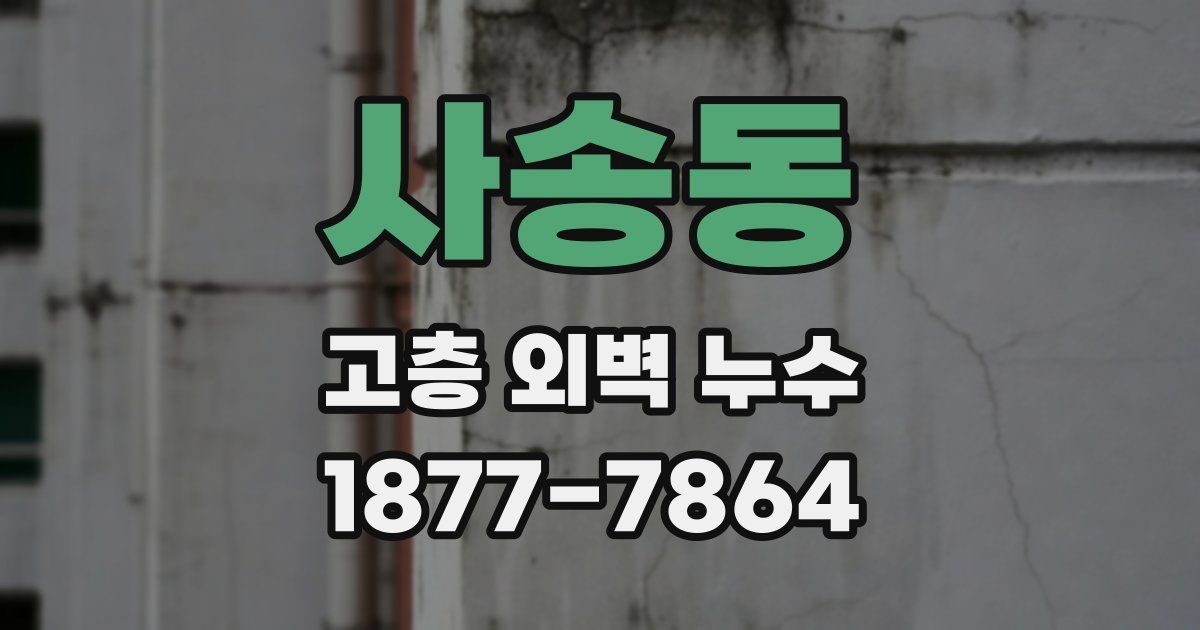 사송동 고층 외벽 누수