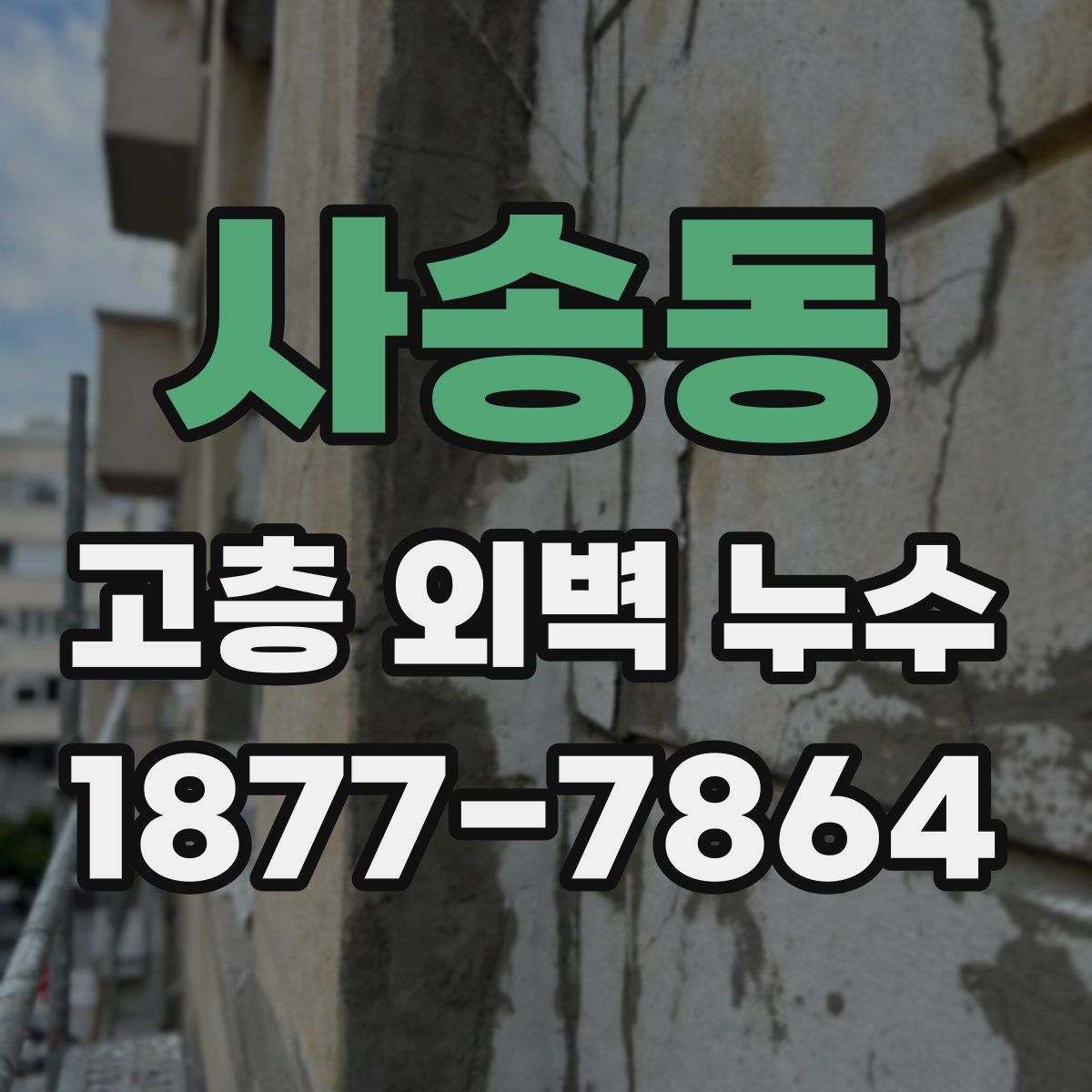 사송동 고층 외벽 누수