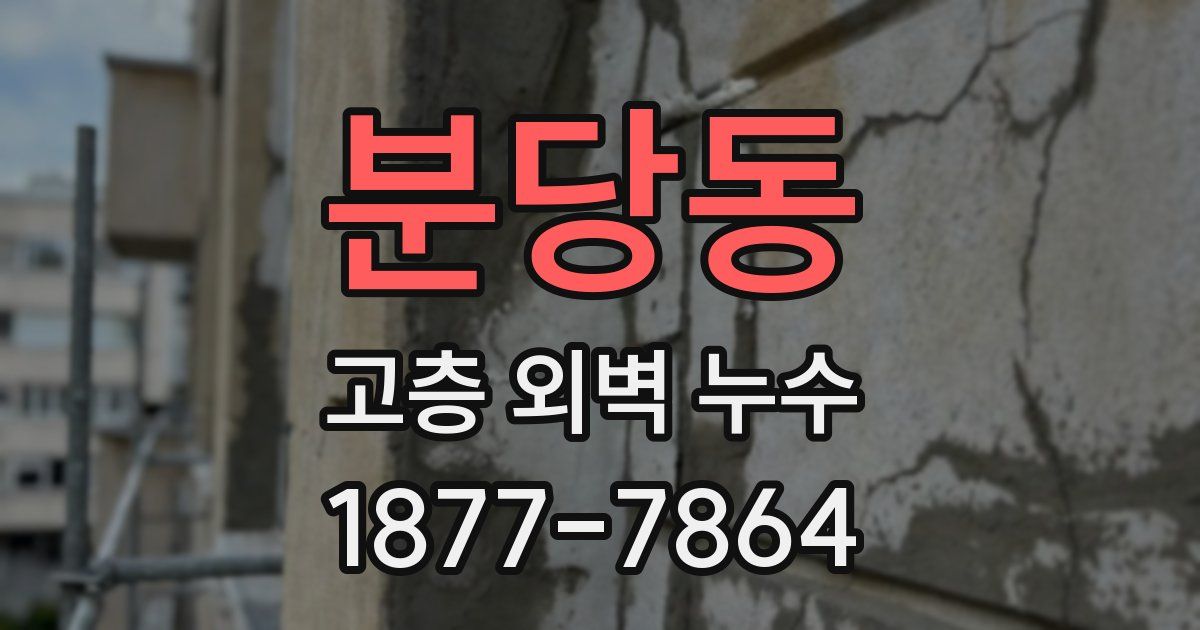 분당동 고층 외벽 누수