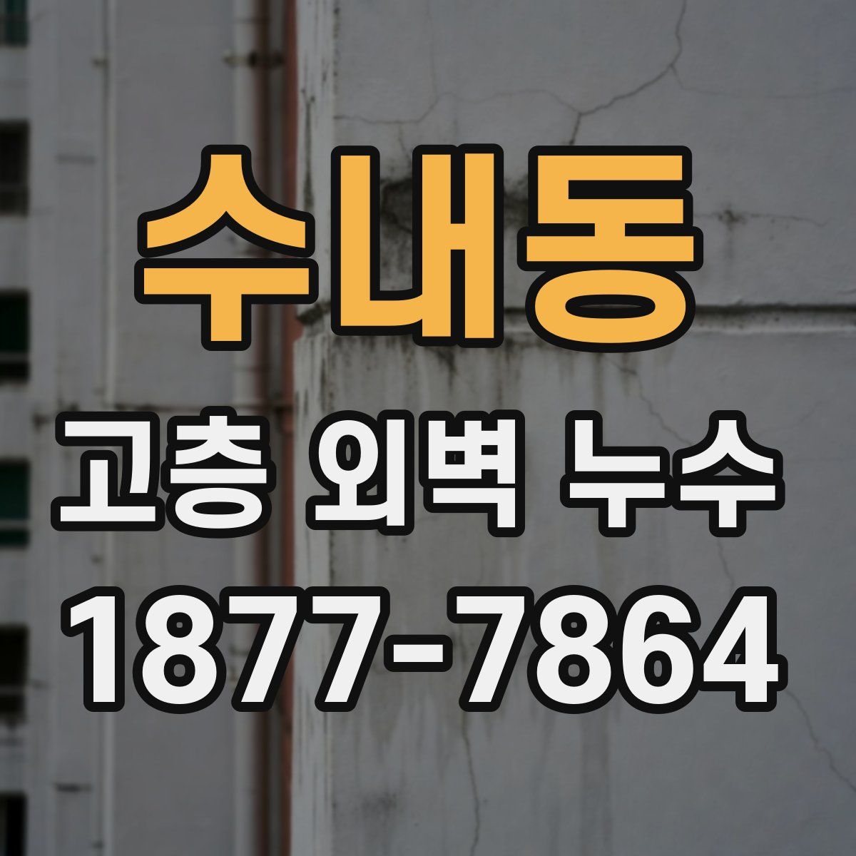 수내동 고층 외벽 누수