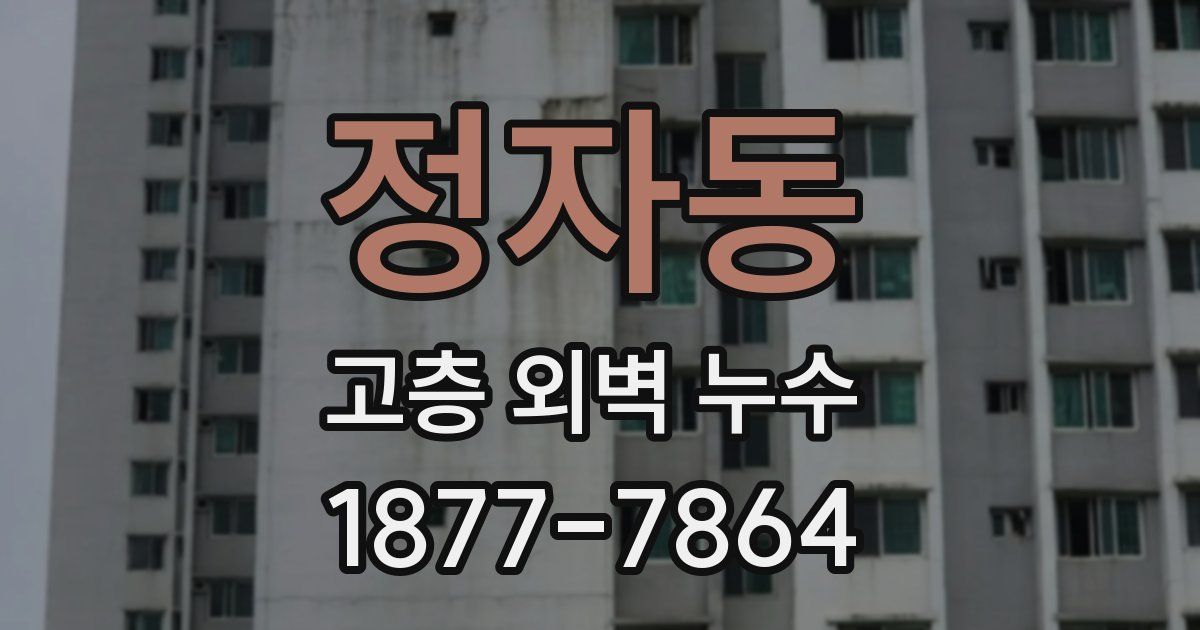 정자동 고층 외벽 누수