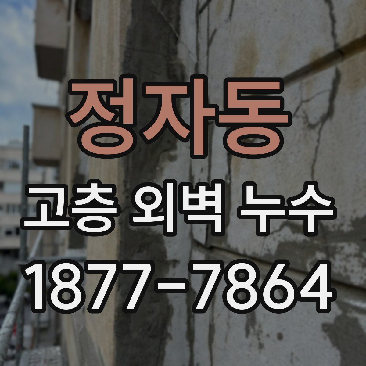 정자동 고층 외벽 누수