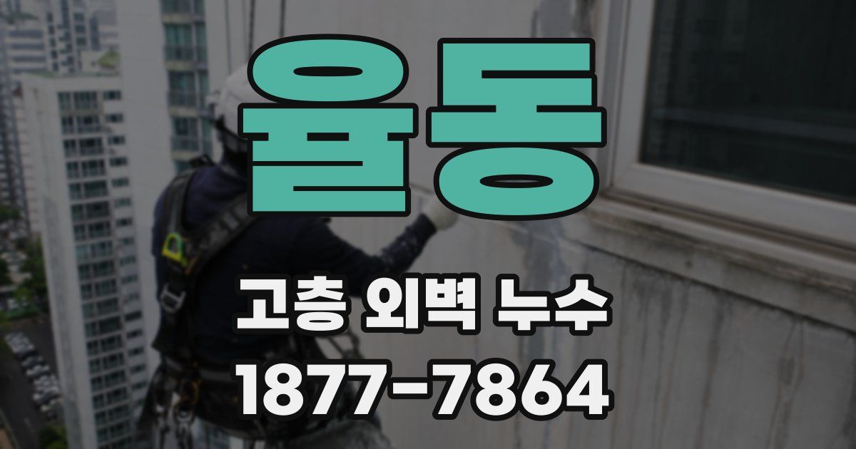 율동 고층 외벽 누수