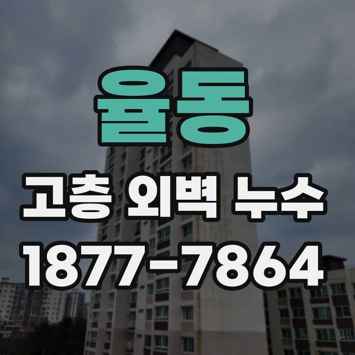 율동 고층 외벽 누수