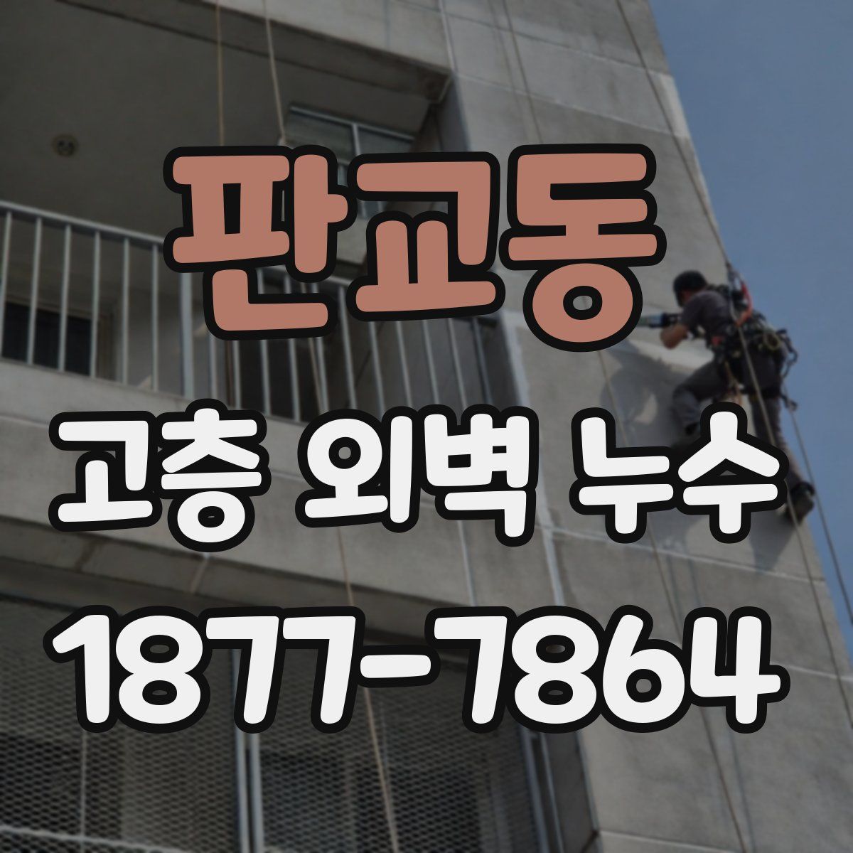 판교동 고층 외벽 누수