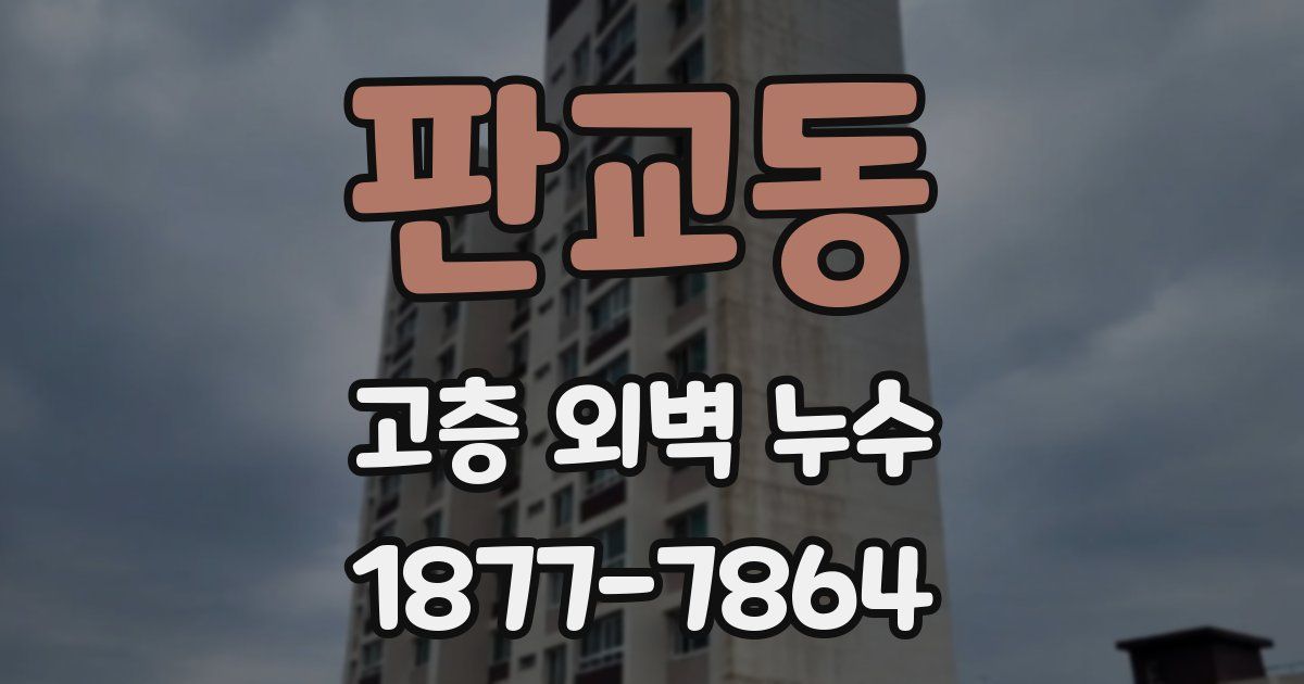 판교동 고층 외벽 누수
