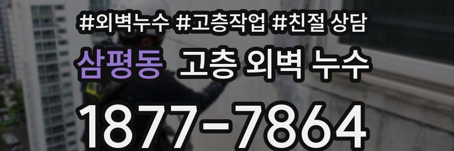 삼평동 고층 외벽 누수