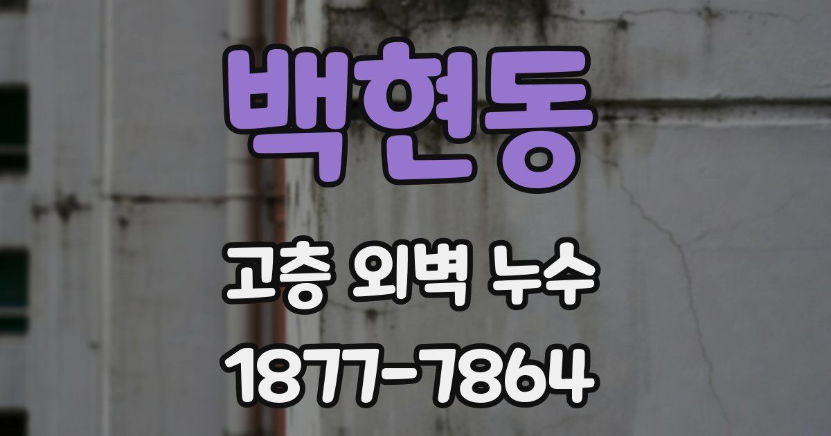 백현동 고층 외벽 누수