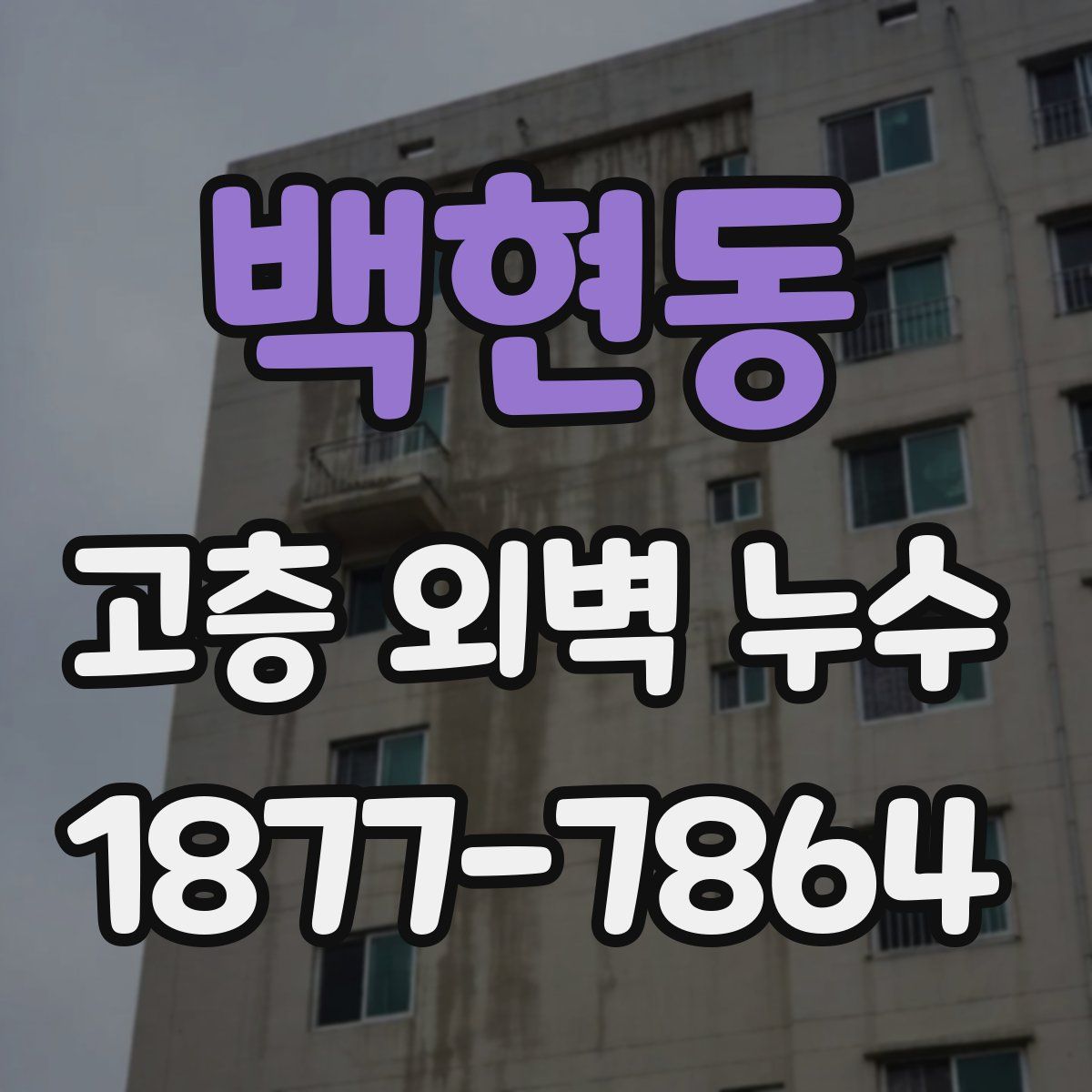 백현동 고층 외벽 누수