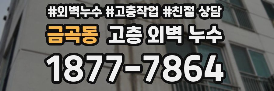 금곡동 고층 외벽 누수