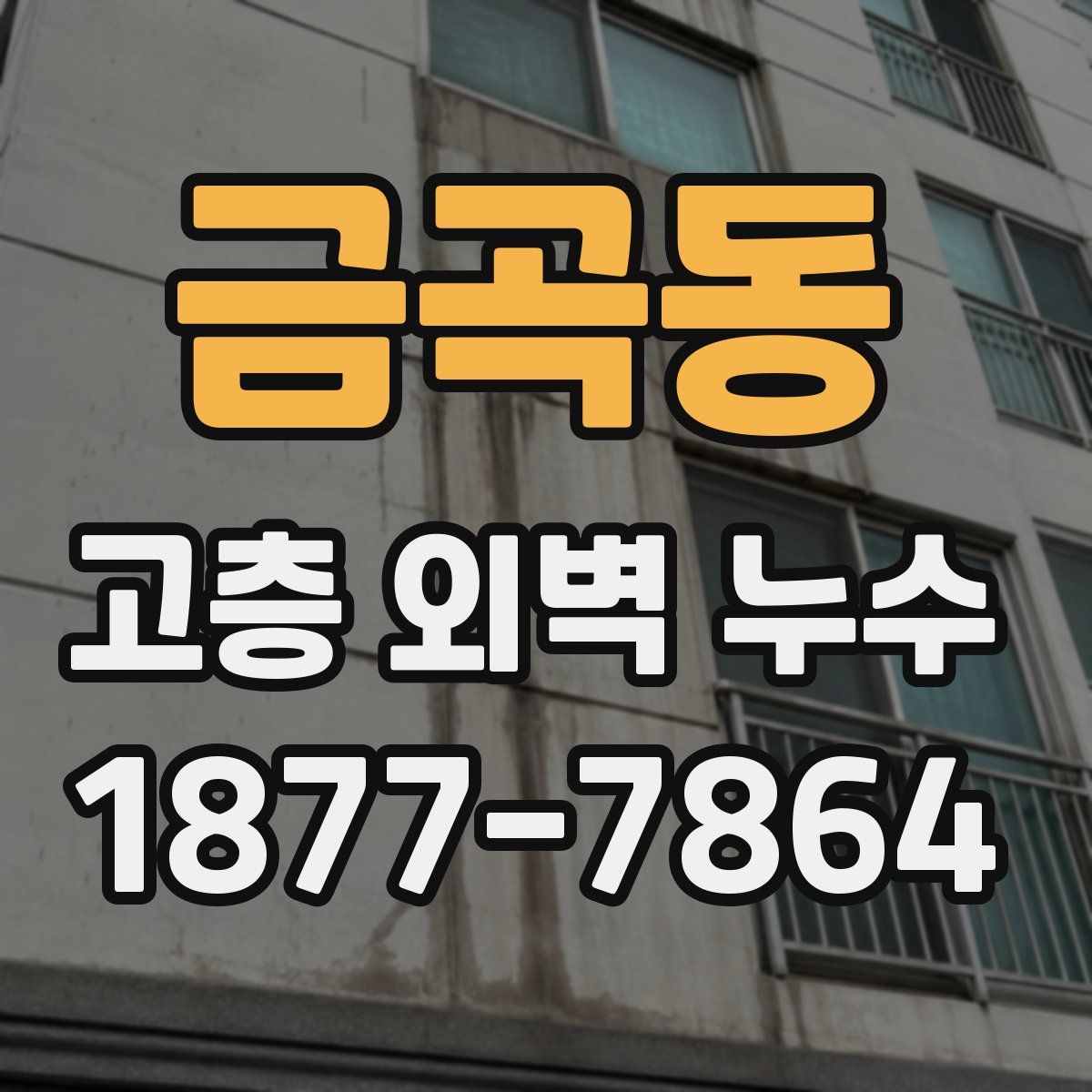 금곡동 고층 외벽 누수
