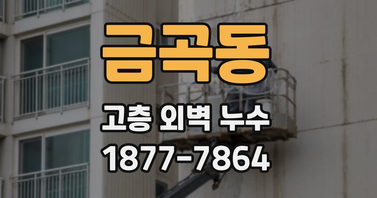 금곡동 고층 외벽 누수