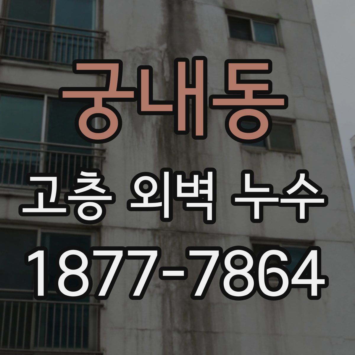 궁내동 고층 외벽 누수