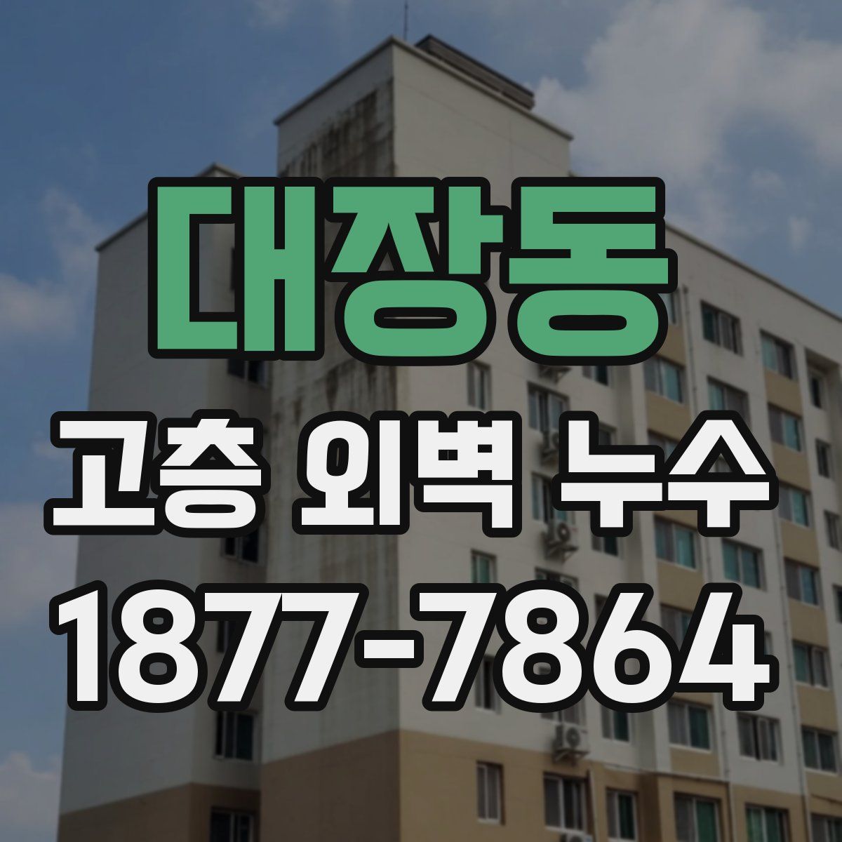 대장동 고층 외벽 누수