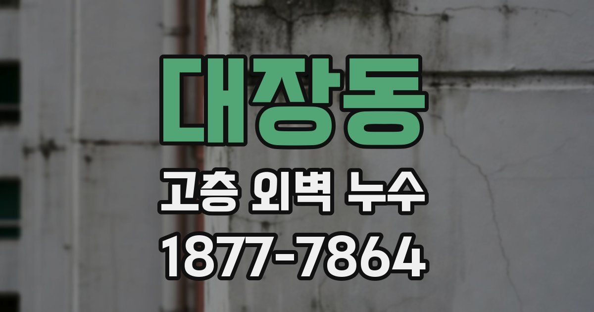 대장동 고층 외벽 누수
