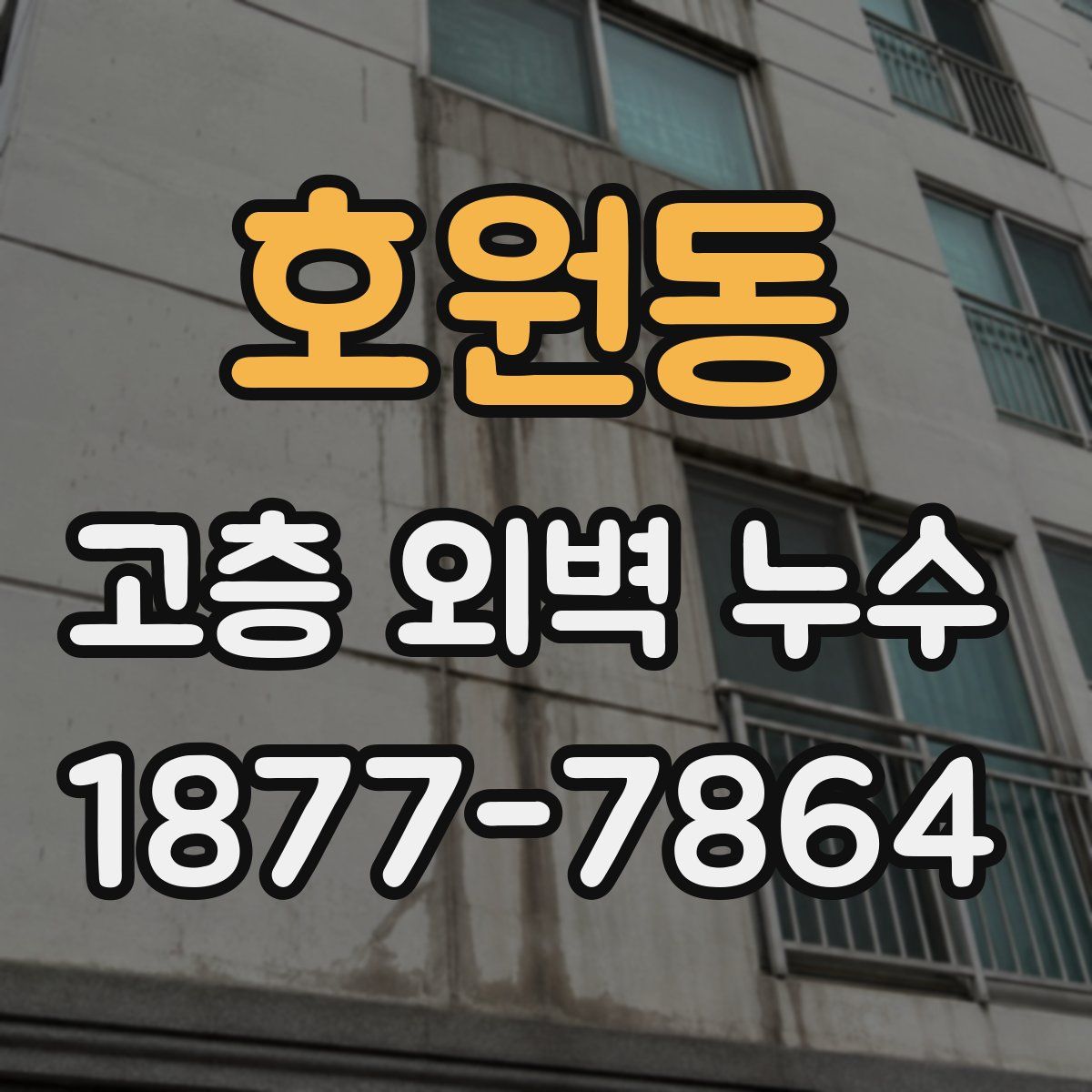 호원동 고층 외벽 누수