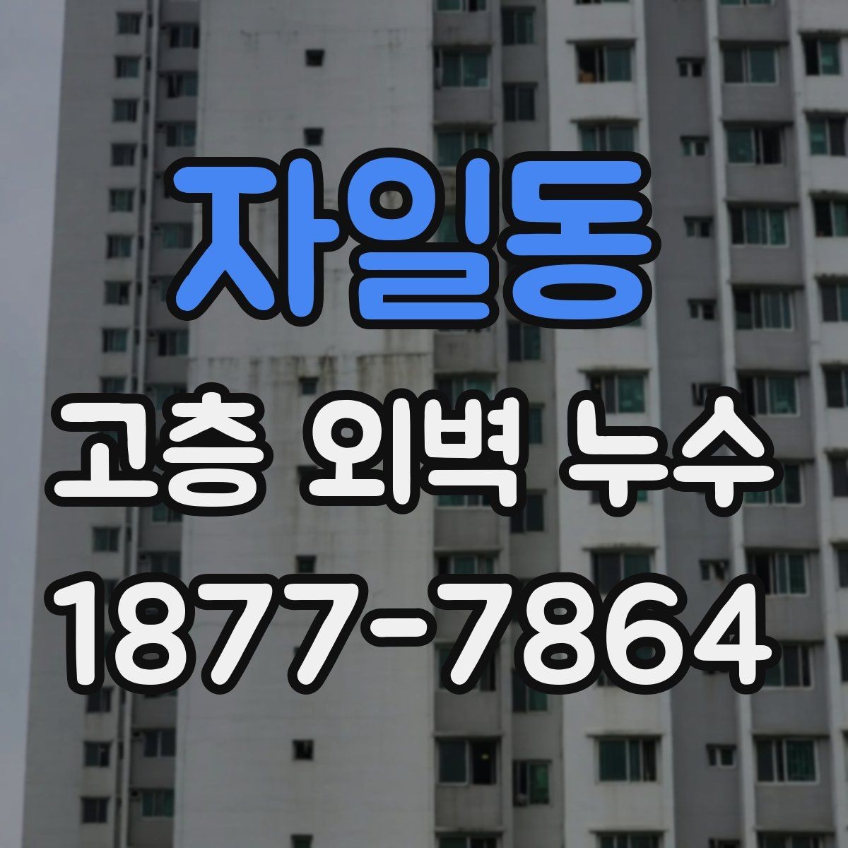 자일동 고층 외벽 누수 점검 시 자주 묻는 질문