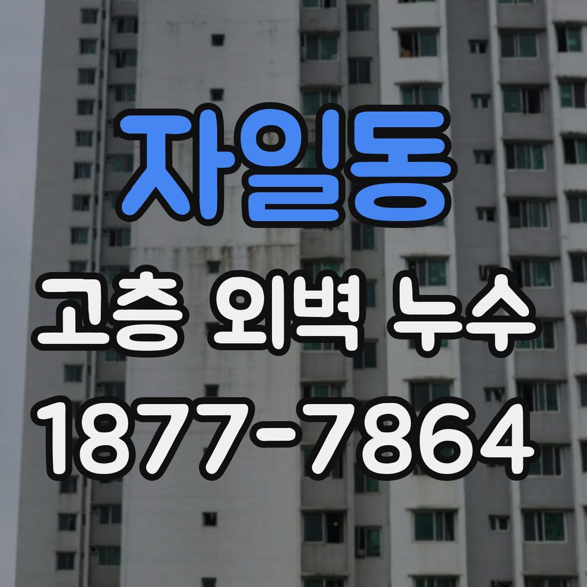 자일동 고층 외벽 누수